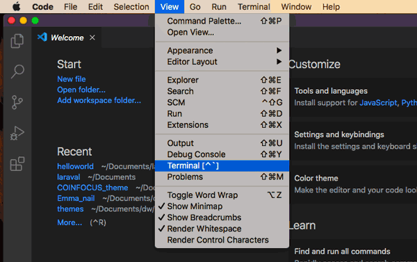 Visual studio code terminal